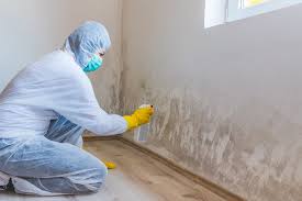 Mold Documentation for Insurance Claims in Prineville Lake Acres, OR